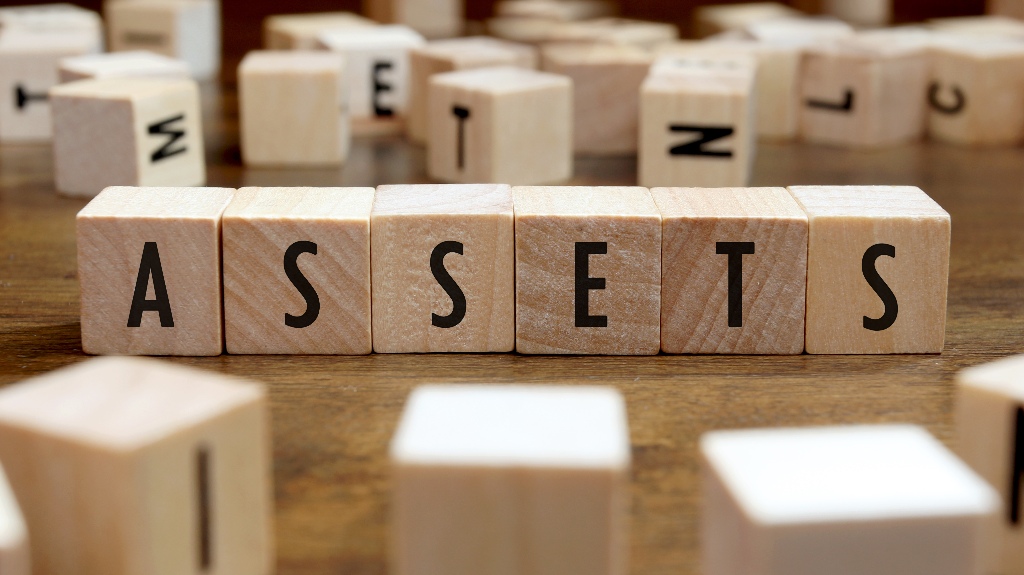 assets word written on wooden blocks
