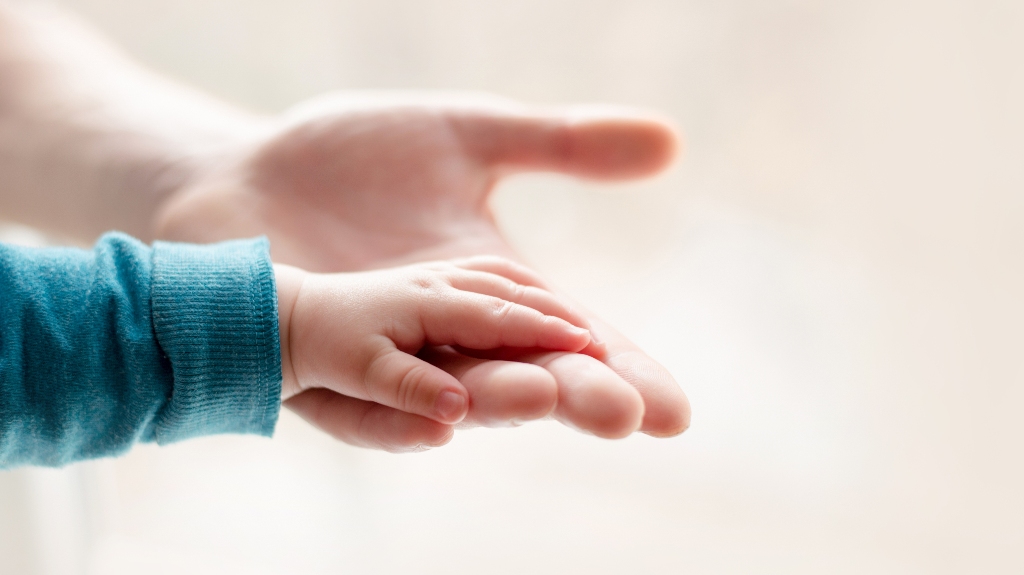 parent father holds the hand of a small child